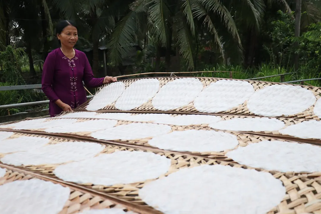 Nguồn Gốc Bánh Tráng Gạo