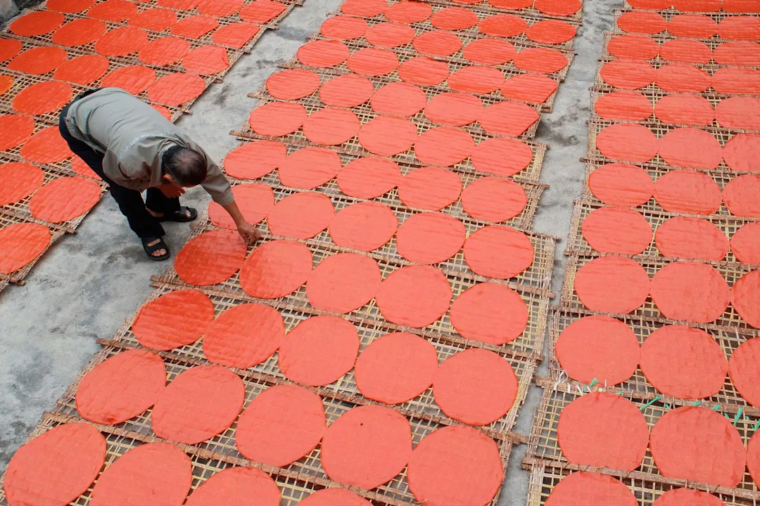 Bánh tráng rau mầm / Bánh tráng gấc (Phiên bản màu sắc tự nhiên)