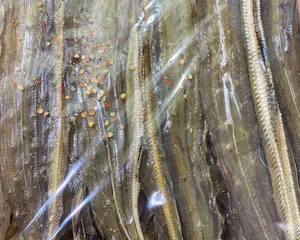 Khô Cá Lao Bình Định 500gr