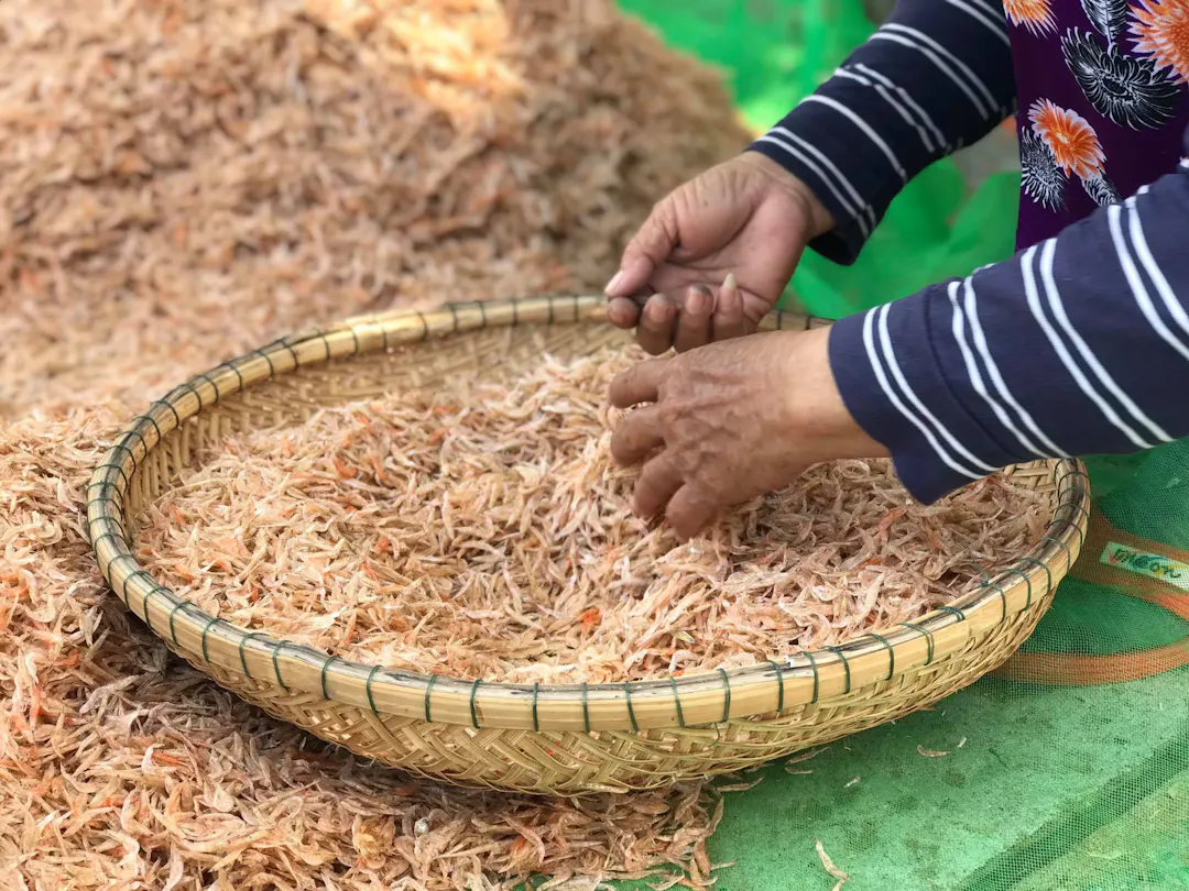 Hướng dẫn cách làm ruốt khô Bình Định