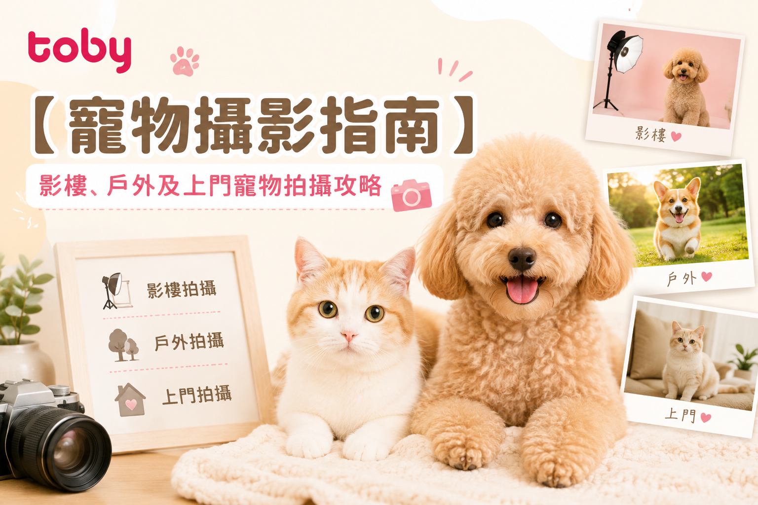 【寵物攝影指南】影樓、戶外及上門寵物拍攝攻略-banner
