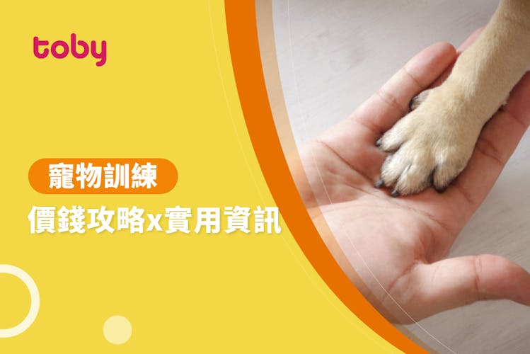 【寵物訓練師費用】寵物訓練價錢攻略2026-banner