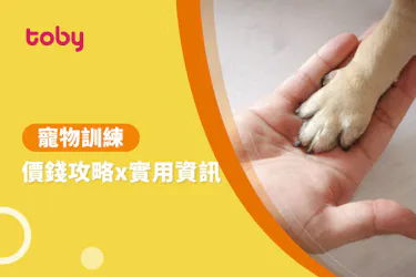 寵物訓練 費用