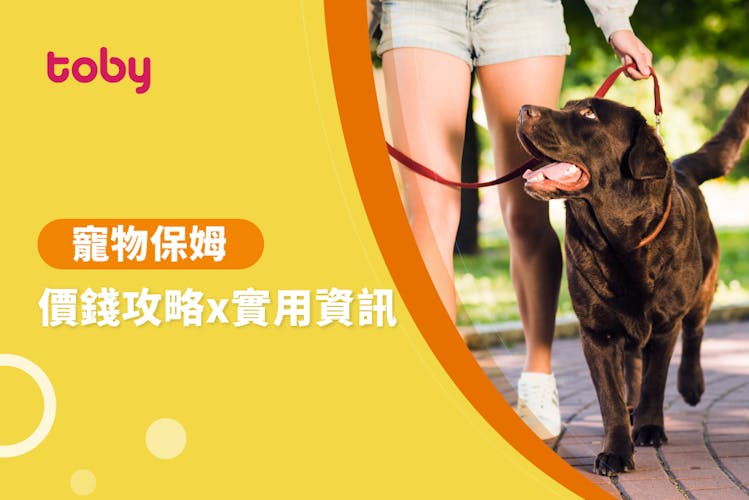 【寵物保母費用】寵物託管價錢攻略 2026-banner