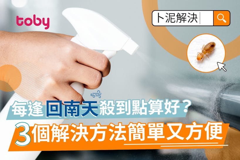 【卜泥】天花板牆身現潮濕蟲卜泥?專家分享預防及消滅卜泥方法!-banner