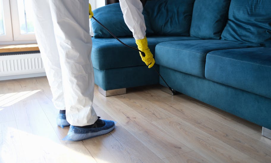 Household Pests