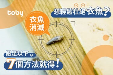 【衣魚消滅】蠹蟲怎麼來的?有天敵嗎?即睇7招衣魚消滅方法