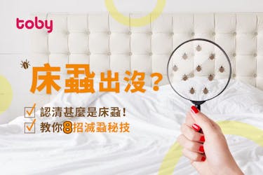 【床蝨怕甚麼】詳析8種消滅床蝨方法+被咬特徵及如何處理傷口