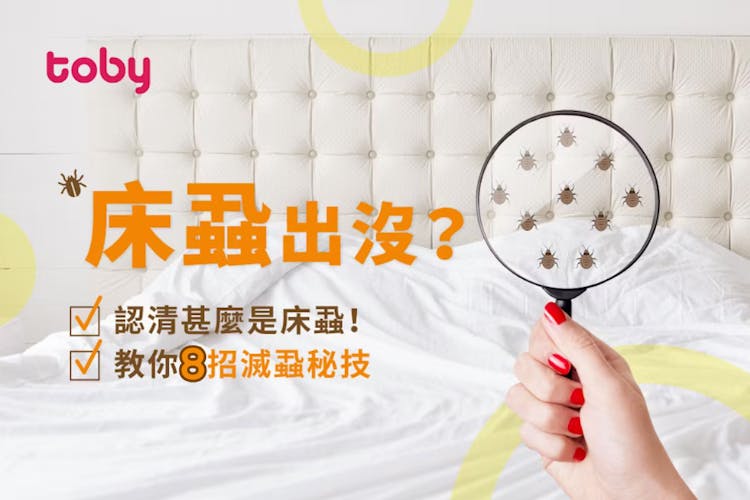 【床蝨怕甚麼】詳析8種消滅床蝨方法+被咬特徵及如何處理傷口-banner