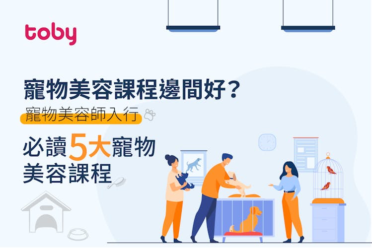 【寵物美容師入行】2026寵物美容課程邊間好?5大初級、C級證書課程推介!-banner