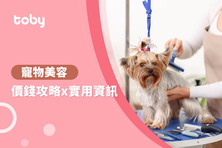 【寵物美容師收費】寵物美容價錢攻略 2026-banner