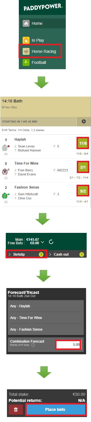 how to place a forecast on paddy power , what about paddy power