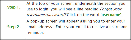 fake username and password generator
