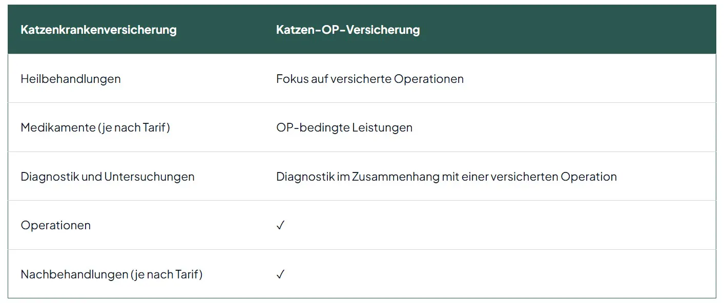 Unterschiede zwischen Katzenkrankenversicherung und Katzen-OP-Versicherung