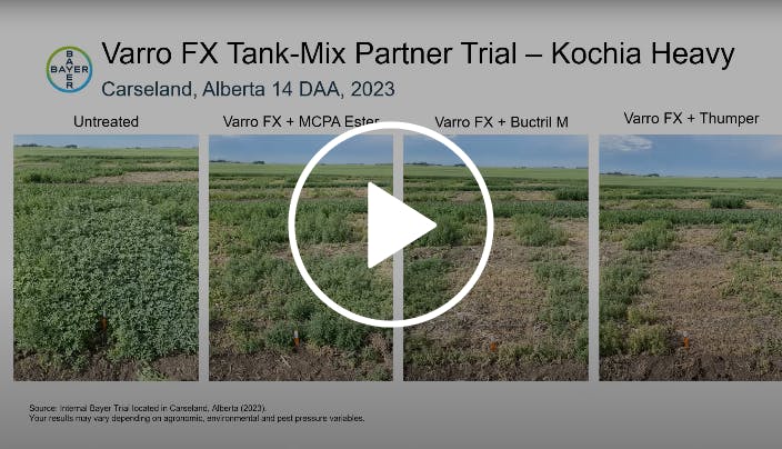 A video thumbnail with a play button showing a screen with the results of the Varro FX Tank-Mix Partner Trial.