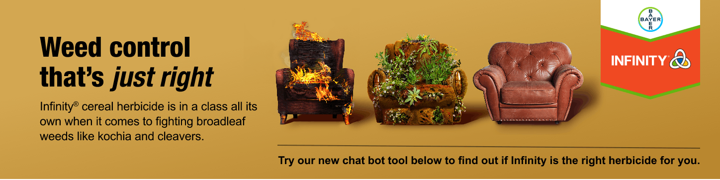 Image of 3 armchairs, one on fire, one covered in weeds, the other a comfortable looking leather armchair. Copy on the banner reads 'Weed Control that’s just right. Infinity® cereal herbicide is in a class all its own when it comes to fighting broadleaf weeds like kochia and cleavers. Try our new chat bot tool below to find out if Infinity is the right herbicide for you'. There is also a chevron shaped badge with the Bayer logo and the Infinity wordmark.