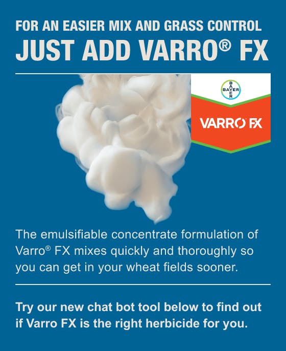 Image of Varro FX mixing into water with copy that says 'For an easier mix and grass control, just add Varro FX, The emulsifiable concentrate formulation of Varro® FX mixes quickly and thoroughly so you can get in your wheat fields sooner. Try our new chat bot tool below to find out if Varro FX is the right herbicide for you'. There is also a chevron shaped badge with the Bayer logo and the Varro FX wordmark.