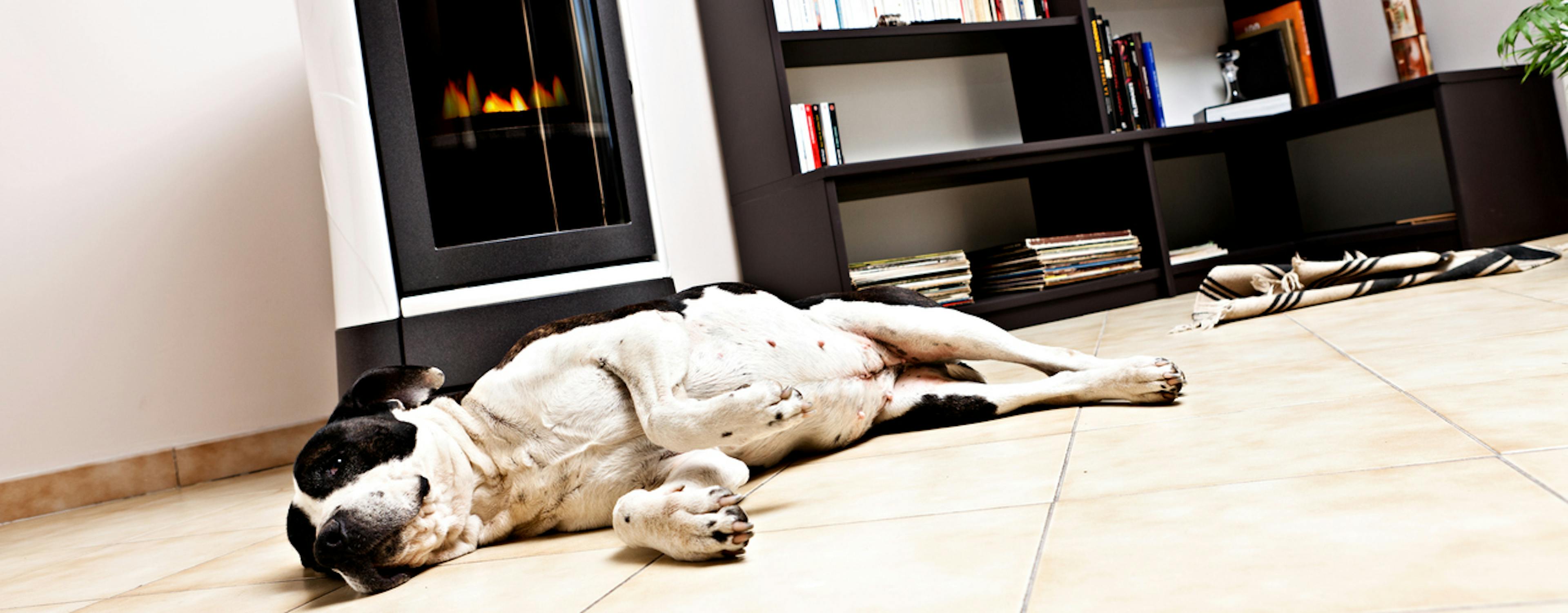 Tout pour votre poêle à pellets