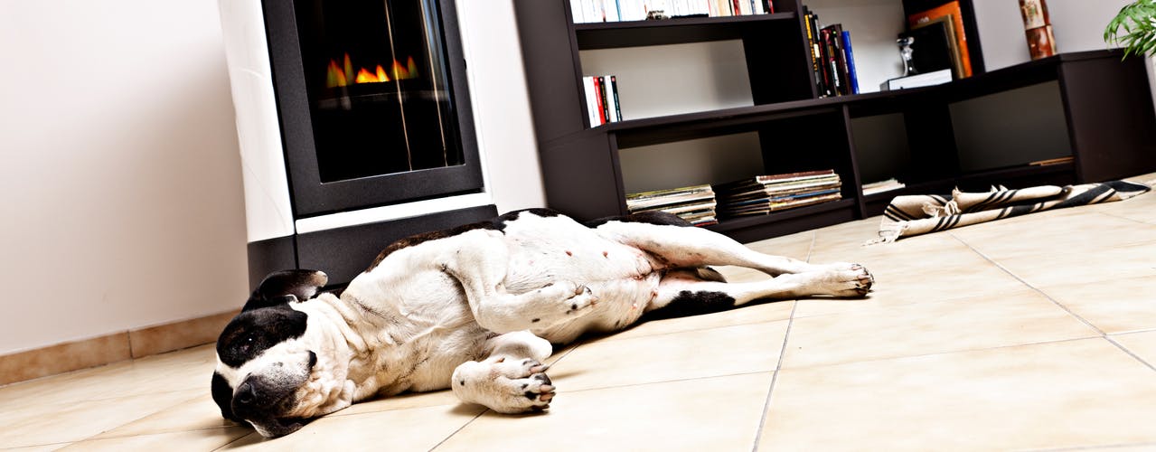 Tout pour votre poêle à pellets