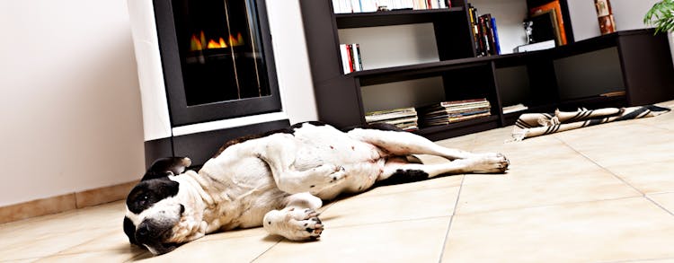 Tout pour votre poêle à pellets