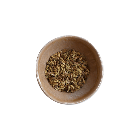 Fenchel