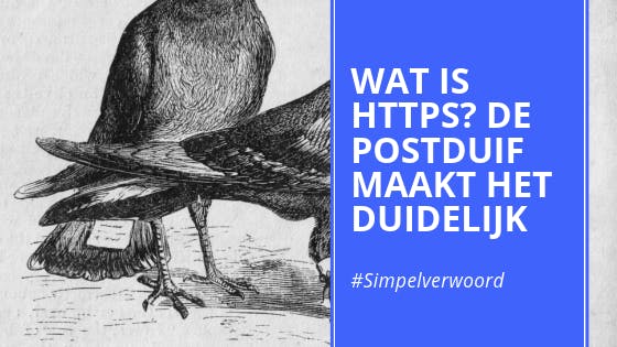 Cover Image for HTTPS uitgelegd via een postduif metafoor