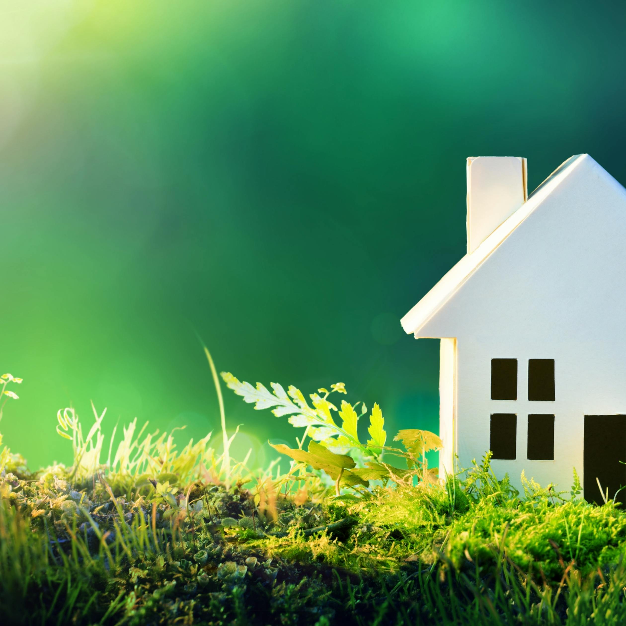Maison environnement