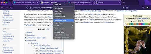 Firefox Bookmarks Tabs