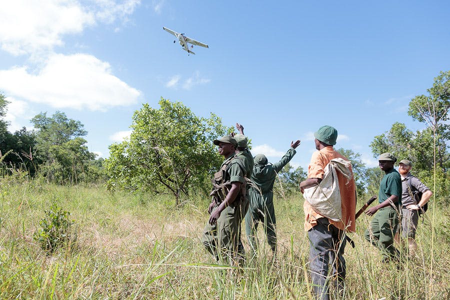 ⓒ Conservation South Luangwa Photography