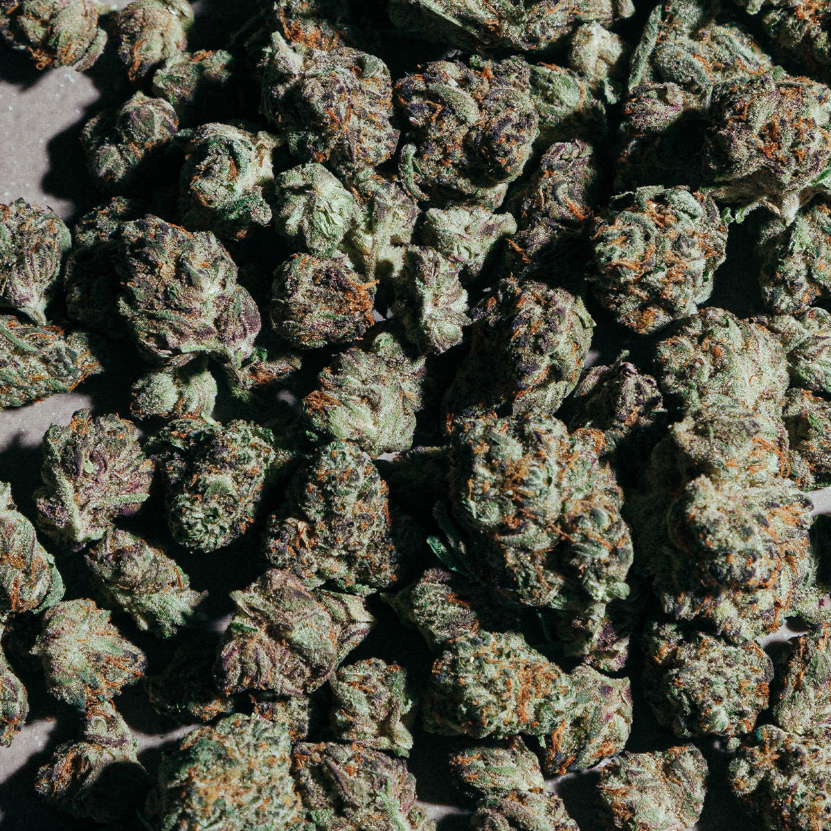 High Supply