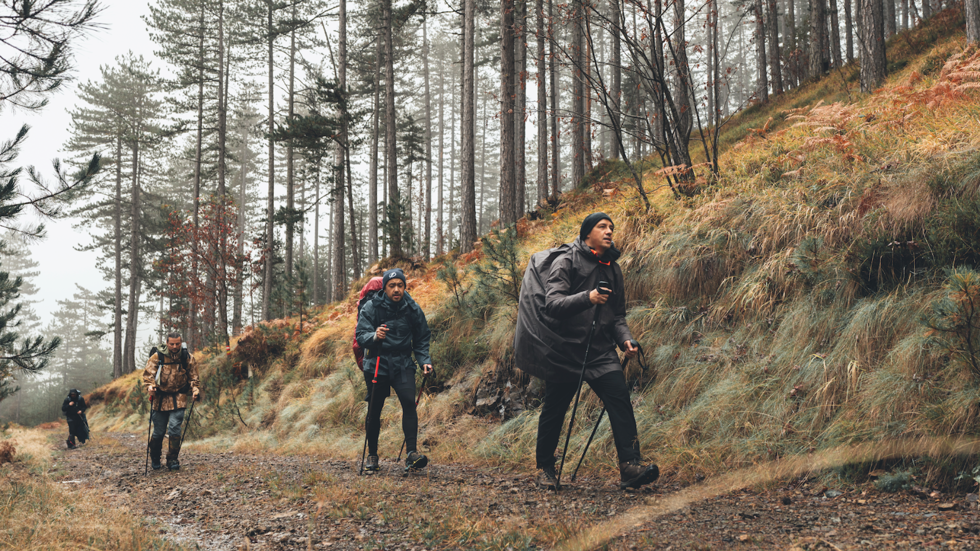 Your ultimate fall hiking guide