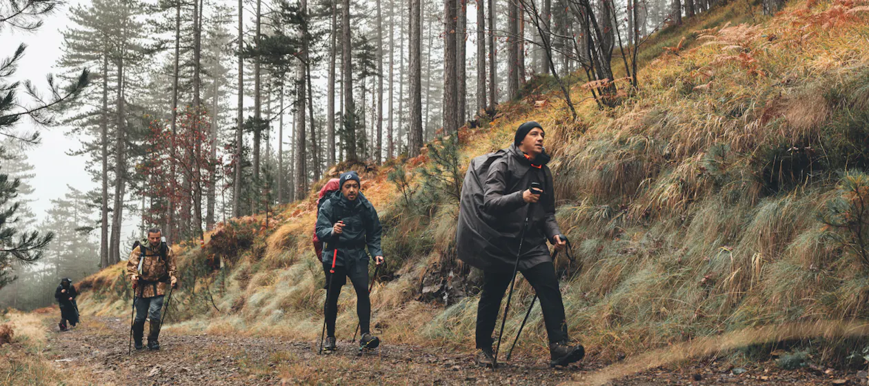 Your ultimate fall hiking guide