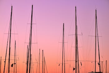 Masts of several sailing boats