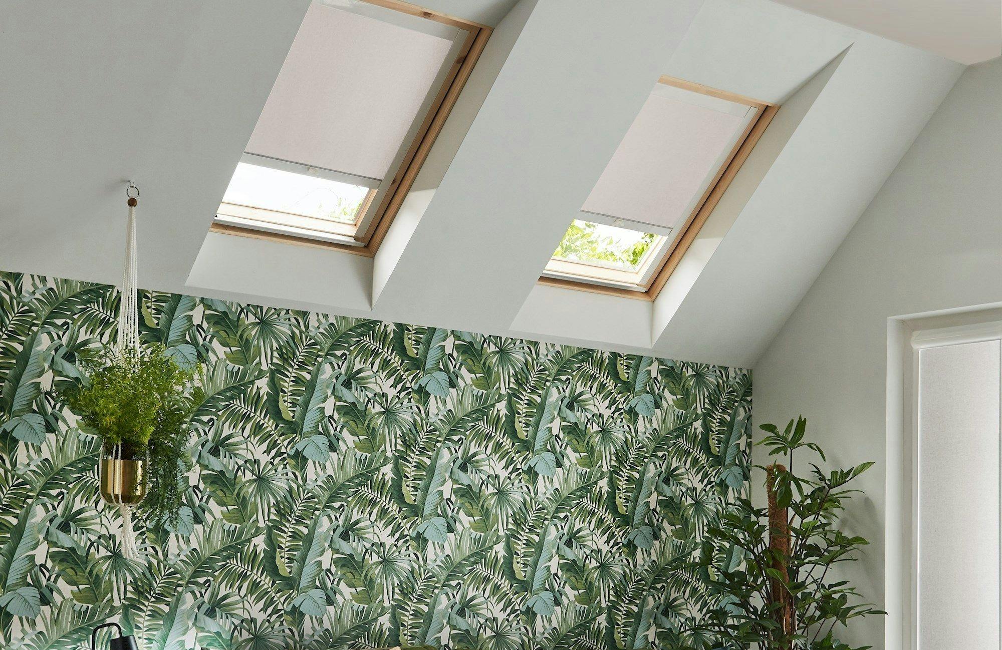 Two skylights allow natural light into a room with a tropical-themed wallpaper. A hanging plant and potted greenery enhance the lush, vibrant atmosphere.