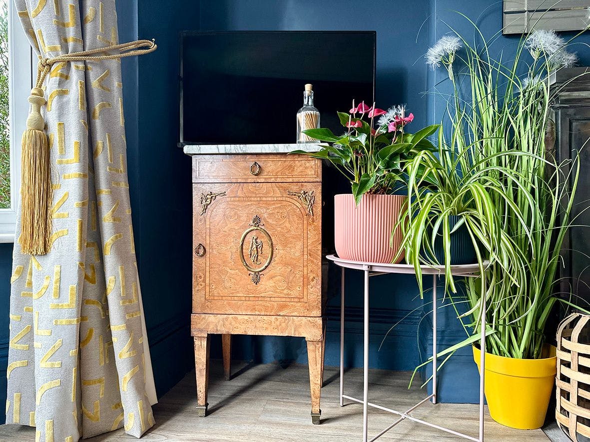 A wooden cabinet holds a TV and a bottle, surrounded by plants on a stand. A patterned curtain with a tassel and a dark blue wall set the room's decor.