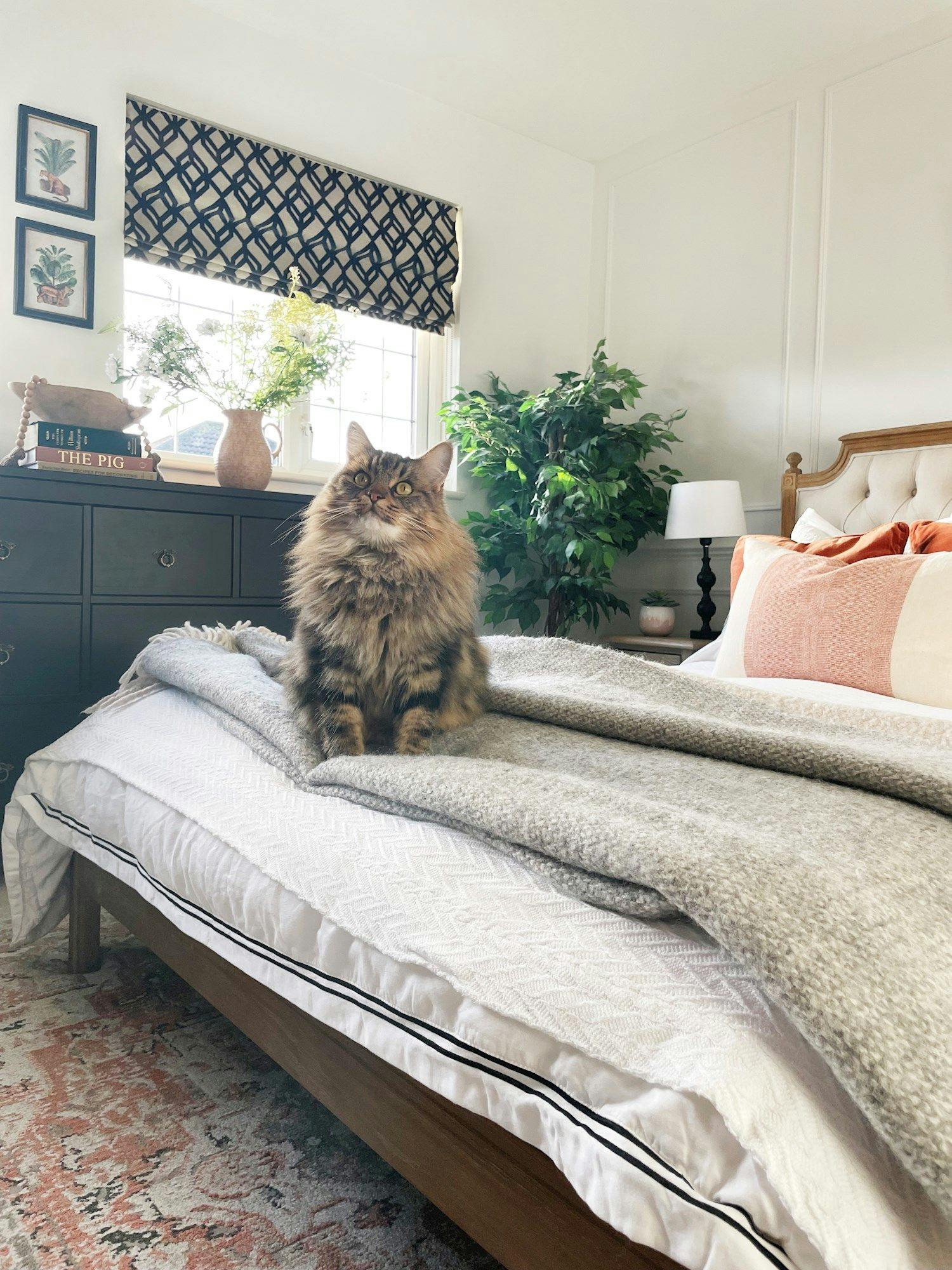 A fluffy cat sits alertly on a neatly made bed with gray blankets in a cozy bedroom featuring potted plants, books, and decorative wall art under a patterned window shade.