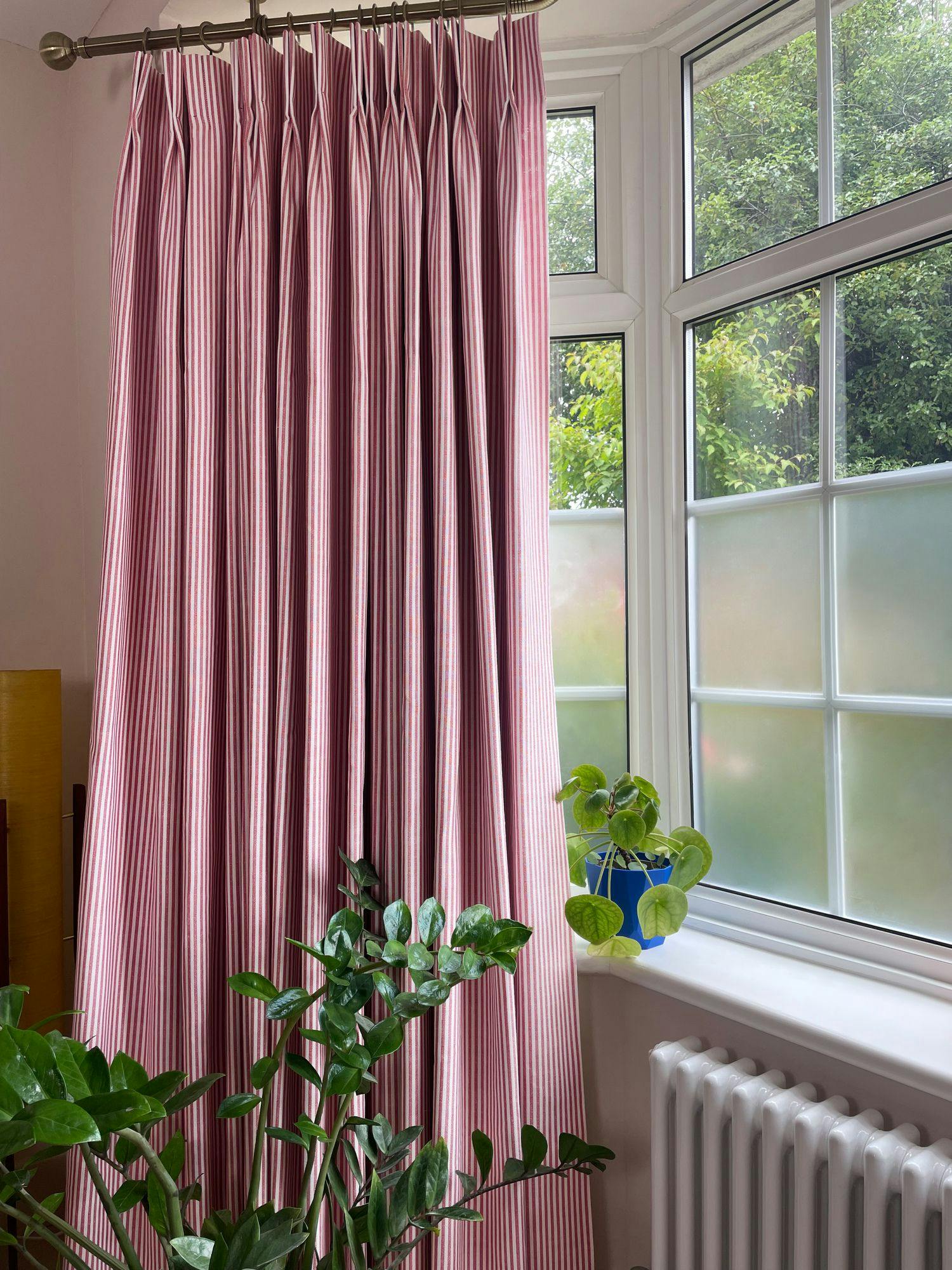 Striped curtains hang inside a bay window, with a green plant on the sill and another in the foreground, creating a cozy room setting. Outside, leafy trees are visible.
