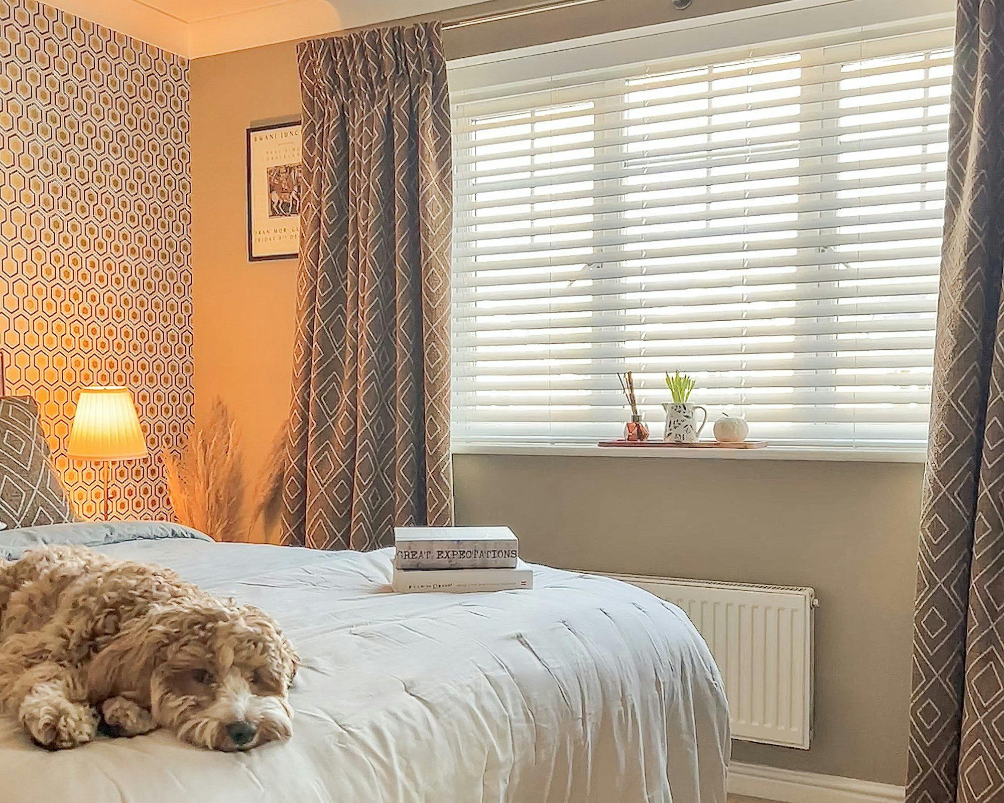 A dog rests on a bed with two books, "Great Expectations" on top. A lit lamp sits on the nightstand beside a patterned wall and curtains in a cozy bedroom.
