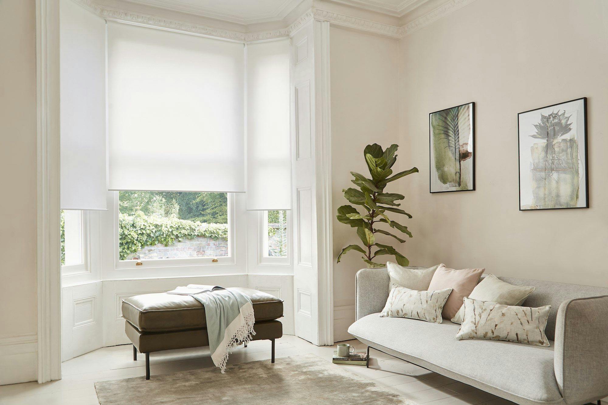 A light-filled, cozy living room features a gray sofa with cushions, a leather ottoman draped with a blanket, and two plant-themed framed artworks on the wall.
