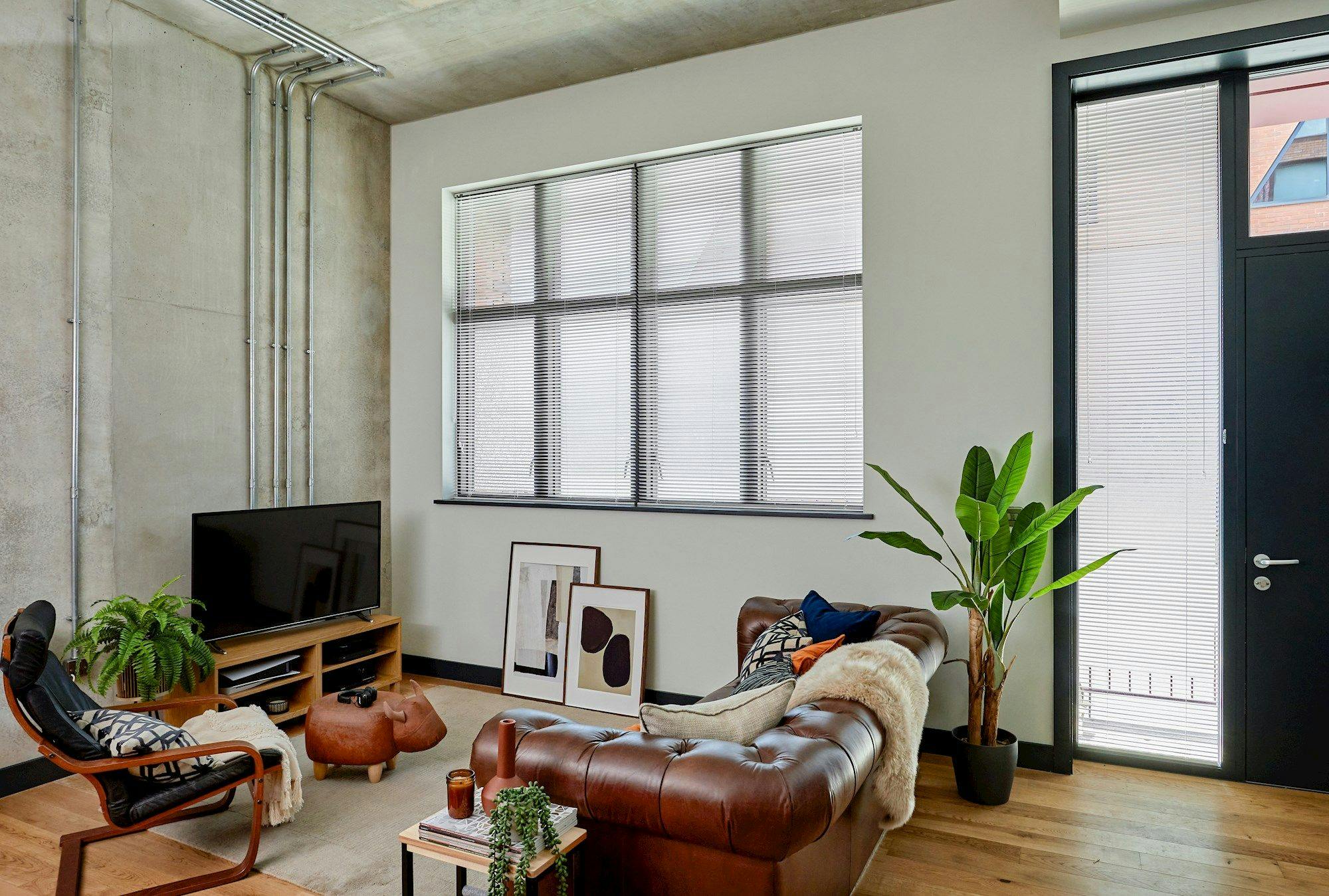 A brown leather sofa with cushions faces a TV on a wooden stand. It is surrounded by a plant, framed art, and a chair in a modern, sunlit room.
