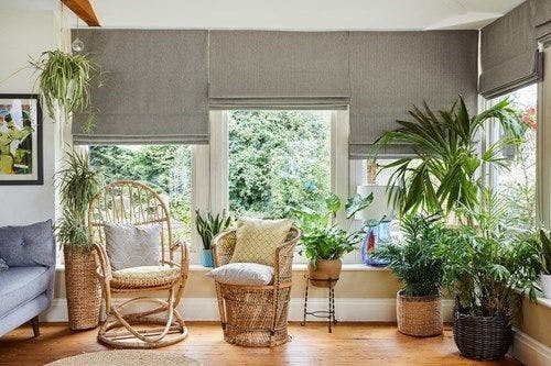 Rattan chair and small table sit amidst lush green plants near large windows with gray blinds, overlooking a verdant garden. Cozy cushions accentuate the seating area on a wooden floor.