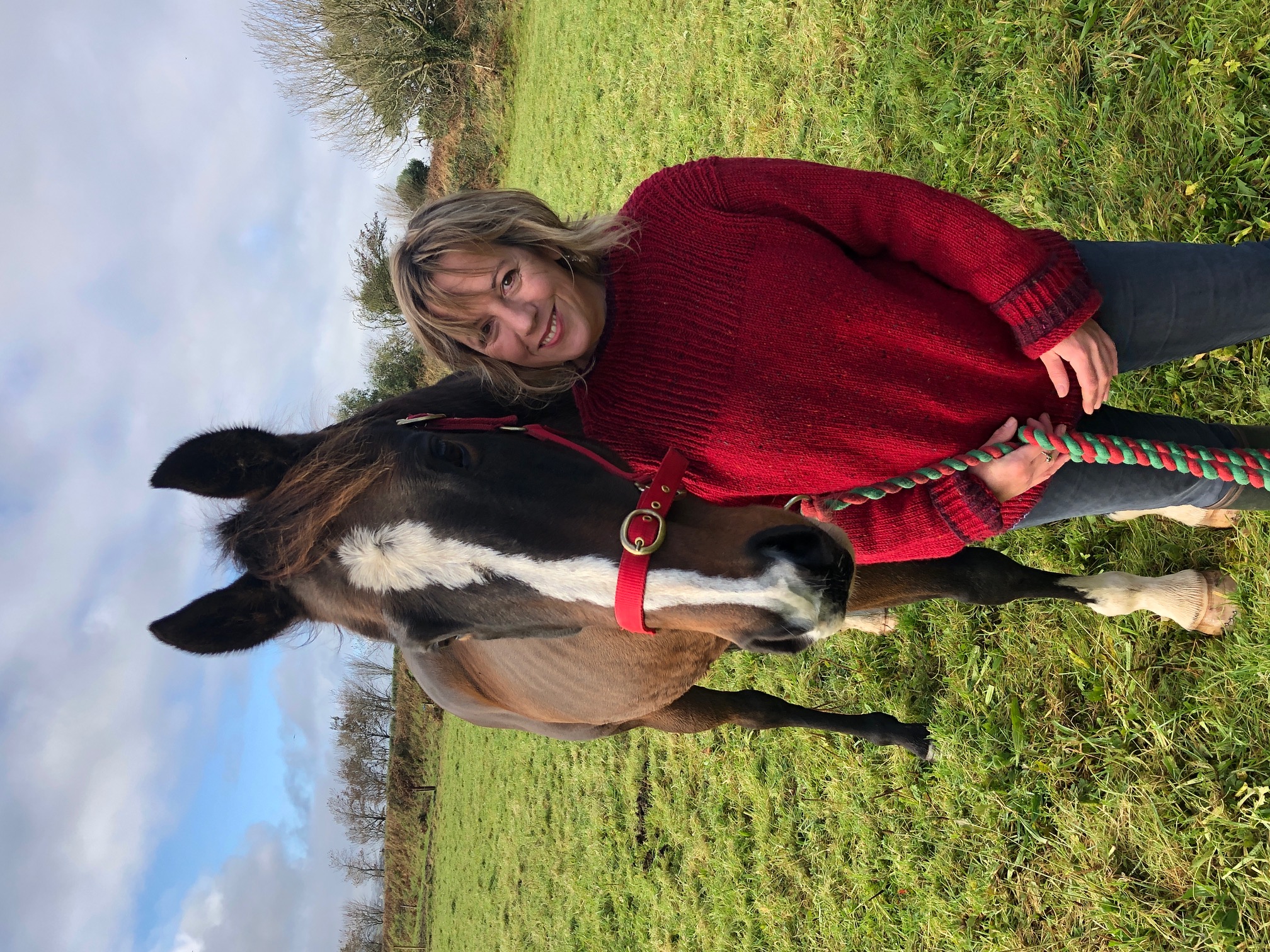 Person in a red jumper stands beside a brown horse with a white blaze, holding a lead rope in a grassy field under a cloudy sky.
