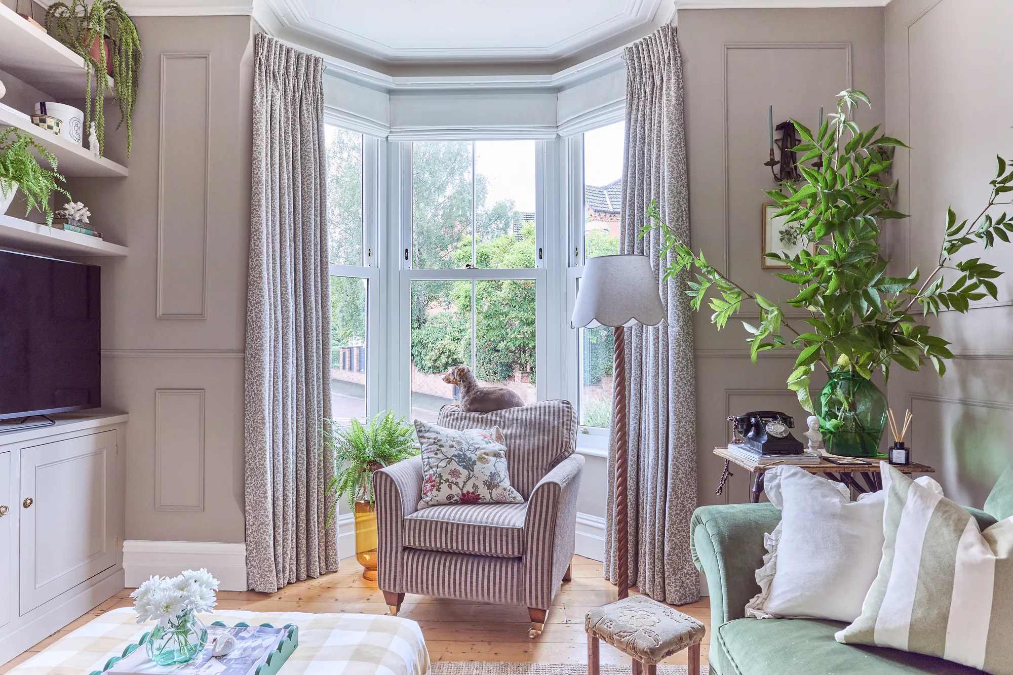 Living room with pale mink panelled walls, wooden floor with a jute rug, pale fern green sofa, opposite a checked beige and white ottomon, upholstered striped chair with a daschund lying on the top cushion in bay window which is dressed in curtains in pale oyster with a coral pattern in cream, open. 