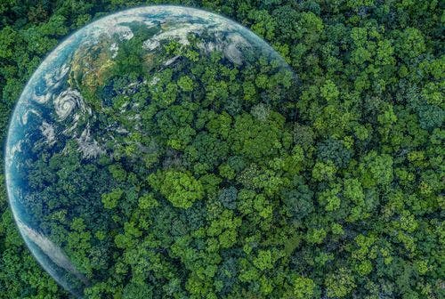 Earth merging with green trees