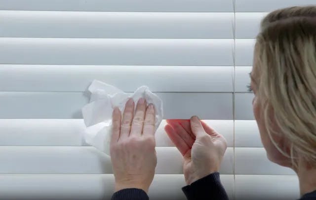 A woman cleaning white wooden blinds