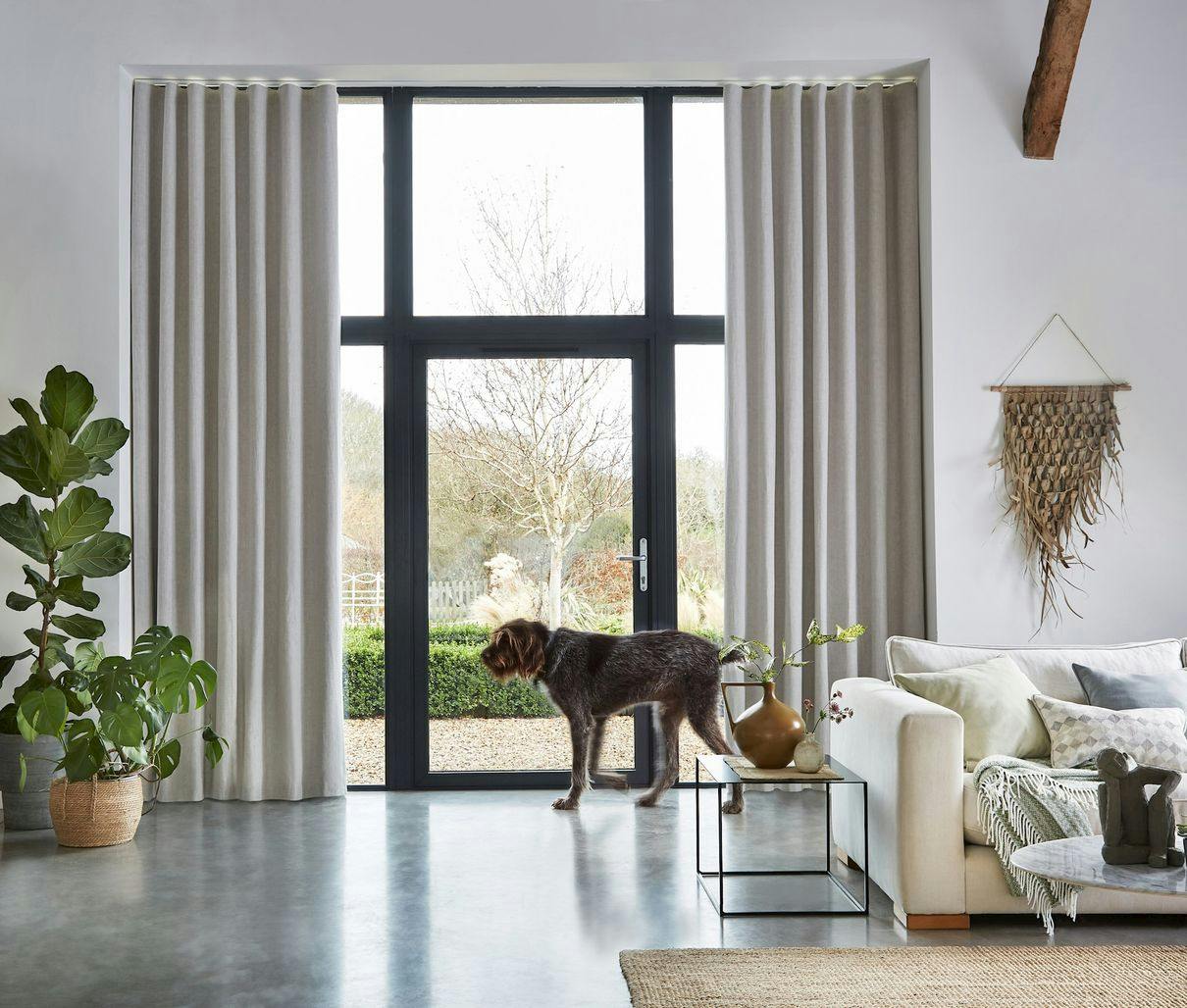 Pure Hemp Clay curtain on a lounge window with a dog standing next by it
