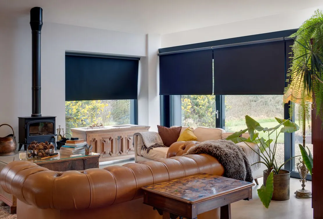 Blackout Roller blinds cover large windows, adding privacy and contrast to a bright living room with a leather sofa and indoor plants.