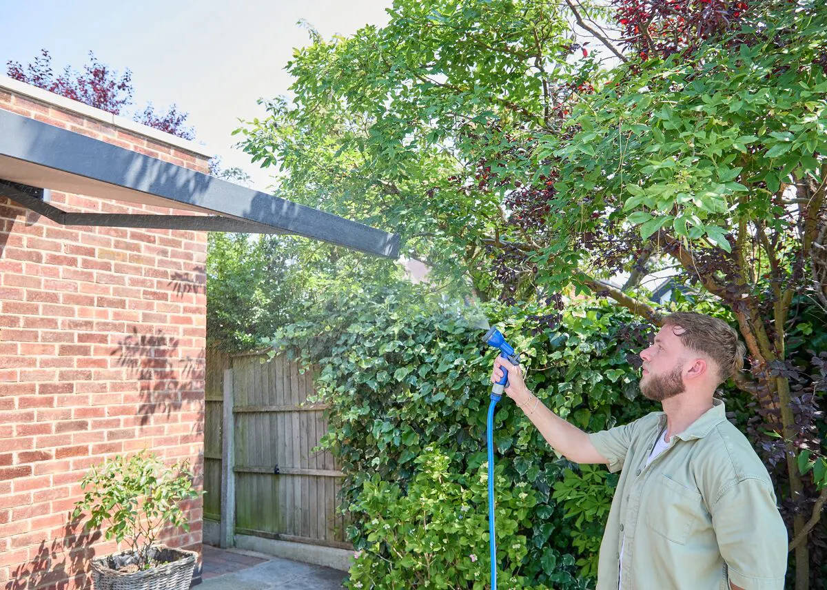 Person rinsing the frame of a modern pergola with a garden hose, surrounded by leafy planting beside a brick house.