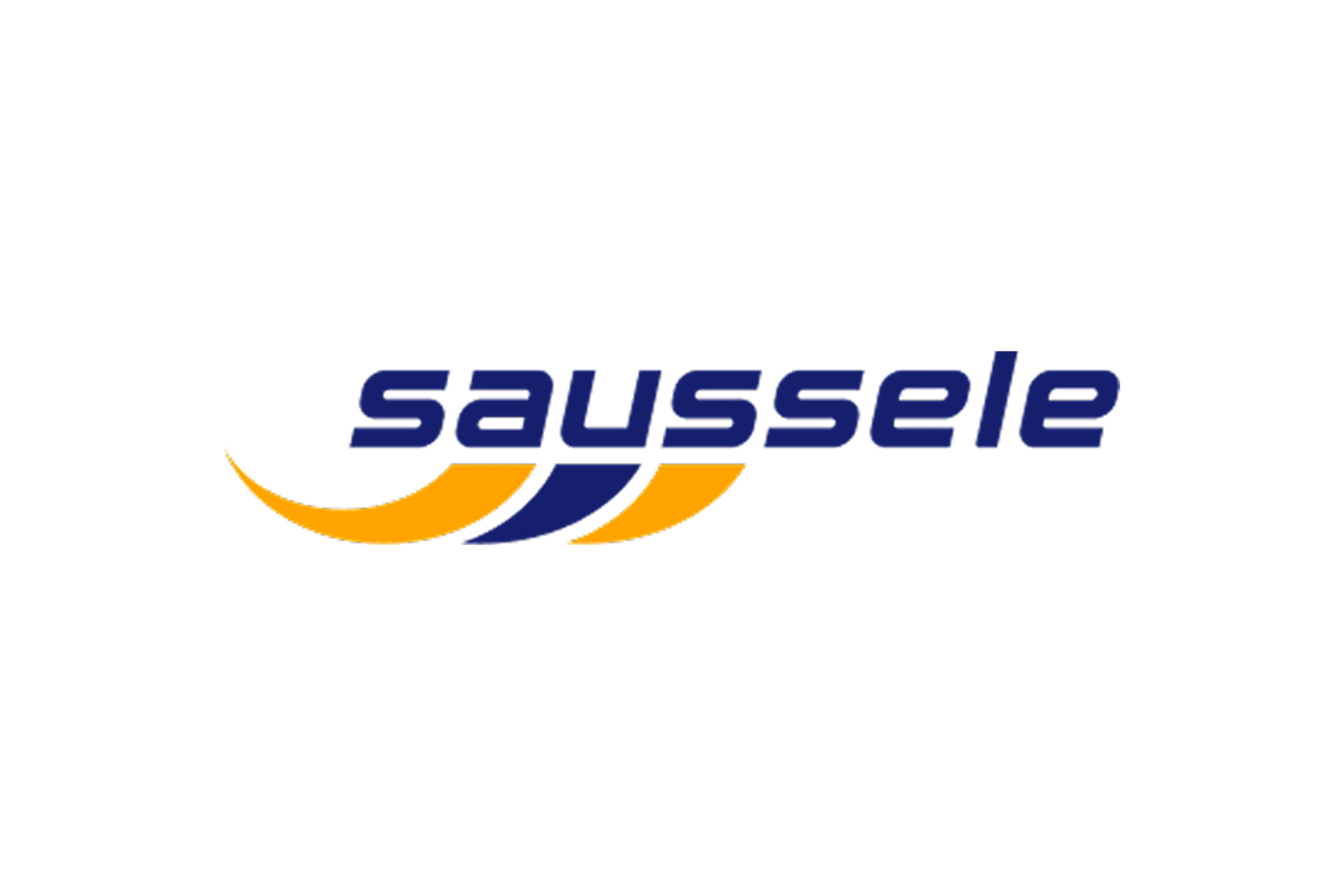 Logo Parkett Saussele