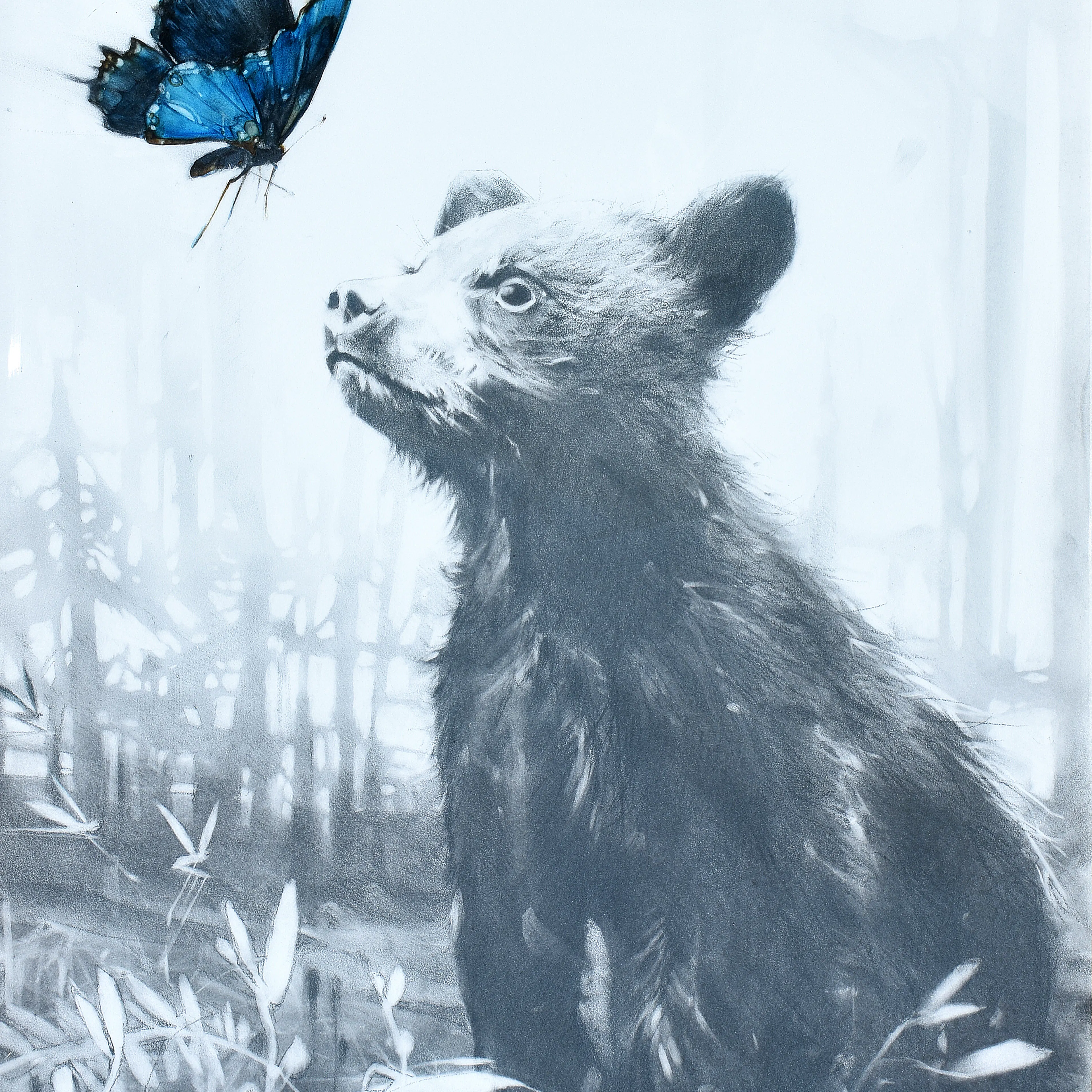 The Bear and the Butterfly